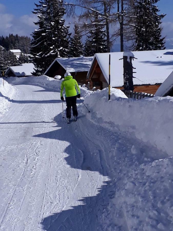 Ferienhaus Bergfee Klippitztorl Экстерьер фото