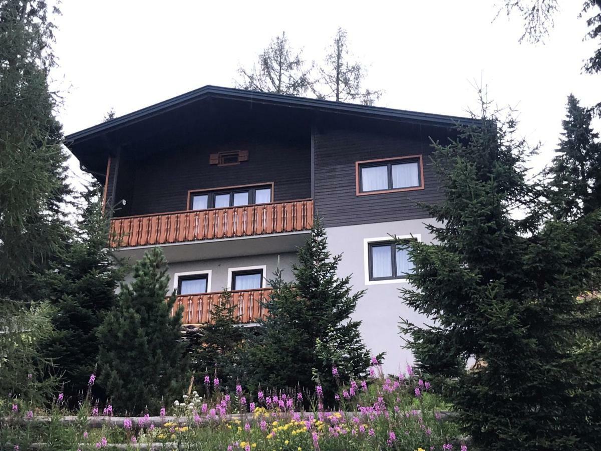 Ferienhaus Bergfee Klippitztorl Экстерьер фото