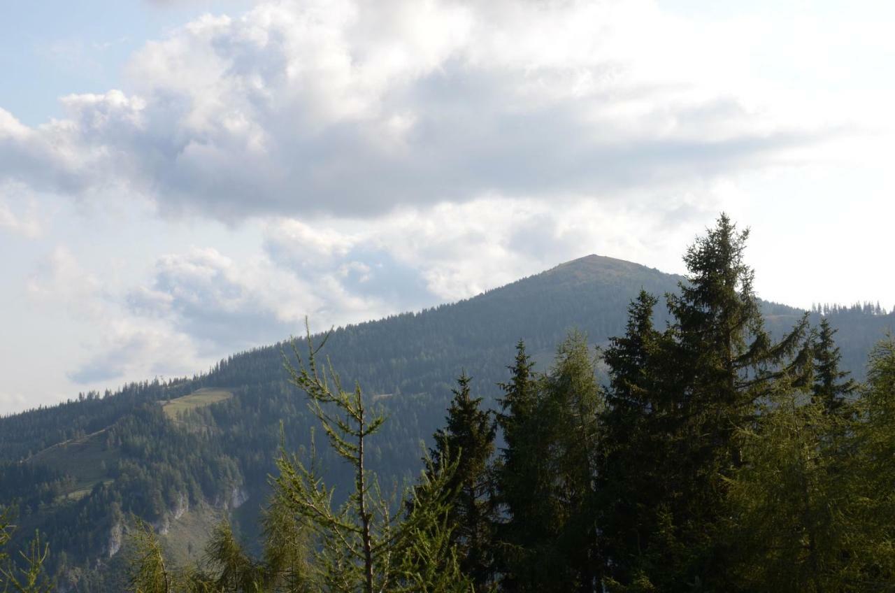 Ferienhaus Bergfee Klippitztorl Экстерьер фото